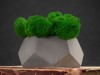 Кашпо бетонное со мхом (альфа-маренго мох зеленый), QRONA, арт. 4500611 фото 5 — Бизнес Презент
