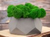 Кашпо бетонное со мхом (альфа-маренго мох зеленый), QRONA, арт. 4500611 фото 6 — Бизнес Презент