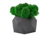 Кашпо бетонное со мхом (бета-антрацит мох зеленый), QRONA, арт. 4500612 фото 1 — Бизнес Презент