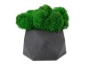 Кашпо бетонное со мхом (бета-антрацит мох зеленый), QRONA, арт. 4500612 фото 2 — Бизнес Презент