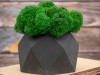 Кашпо бетонное со мхом (бета-антрацит мох зеленый), QRONA, арт. 4500612 фото 4 — Бизнес Презент