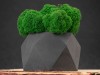 Кашпо бетонное со мхом (бета-антрацит мох зеленый), QRONA, арт. 4500612 фото 5 — Бизнес Презент
