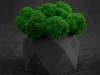 Кашпо бетонное со мхом (бета-антрацит мох зеленый), QRONA, арт. 4500612 фото 6 — Бизнес Презент
