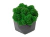 Кашпо бетонное со мхом (бета-антрацит мох зеленый), QRONA, арт. 4500612 фото 8 — Бизнес Презент