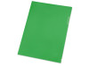 Папка- уголок, для формата А4, плотность 180 мкм, зеленый матовый, арт. 19104 фото 1 — Бизнес Презент