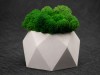 Кашпо бетонное со мхом (бета-циркон мох зеленый), QRONA, арт. 4500613 фото 4 — Бизнес Презент