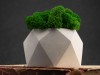 Кашпо бетонное со мхом (бета-циркон мох зеленый), QRONA, арт. 4500613 фото 5 — Бизнес Презент