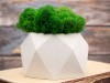 Кашпо бетонное со мхом (бета-циркон мох зеленый), QRONA, арт. 4500613 фото 6 — Бизнес Презент