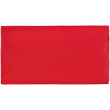 Пенал P-case, красный, арт. 13804.50 фото 3 — Бизнес Презент
