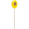 Леденец Lollifruit, желтый с бананом, арт. 14630.01 фото 2 — Бизнес Презент