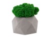 Кашпо бетонное со мхом (бета-маренго мох зеленый), QRONA, арт. 4500614 фото 1 — Бизнес Презент