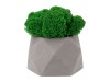 Кашпо бетонное со мхом (бета-маренго мох зеленый), QRONA, арт. 4500614 фото 2 — Бизнес Презент
