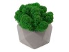 Кашпо бетонное со мхом (бета-маренго мох зеленый), QRONA, арт. 4500614 фото 3 — Бизнес Презент