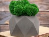 Кашпо бетонное со мхом (бета-маренго мох зеленый), QRONA, арт. 4500614 фото 4 — Бизнес Презент