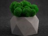 Кашпо бетонное со мхом (бета-маренго мох зеленый), QRONA, арт. 4500614 фото 5 — Бизнес Презент