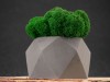 Кашпо бетонное со мхом (бета-маренго мох зеленый), QRONA, арт. 4500614 фото 6 — Бизнес Презент