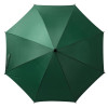 Зонт-трость Standard, зеленый, арт. 12393.90 фото 2 — Бизнес Презент