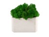Кашпо бетонное со мхом (гама-циркон мох зеленый), QRONA, арт. 4500616 фото 2 — Бизнес Презент