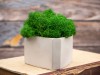 Кашпо бетонное со мхом (гама-циркон мох зеленый), QRONA, арт. 4500616 фото 5 — Бизнес Презент
