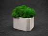 Кашпо бетонное со мхом (гама-циркон мох зеленый), QRONA, арт. 4500616 фото 6 — Бизнес Презент