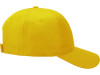 Бейсболка Poly 5-ти панельная, желтый, арт. 13385304 фото 3 — Бизнес Презент