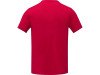 Kratos Мужская футболка с короткими рукавами, красный, арт. 3901921M фото 3 — Бизнес Презент