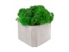 Кашпо бетонное со мхом (гама-маренго мох зеленый), QRONA, арт. 4500617 фото 1 — Бизнес Презент