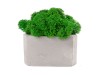 Кашпо бетонное со мхом (гама-маренго мох зеленый), QRONA, арт. 4500617 фото 2 — Бизнес Презент
