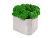 Кашпо бетонное со мхом (гама-маренго мох зеленый), QRONA, арт. 4500617 фото 3 — Бизнес Презент