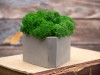 Кашпо бетонное со мхом (гама-маренго мох зеленый), QRONA, арт. 4500617 фото 5 — Бизнес Презент