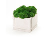 Кашпо бетонное со мхом (квадрат-циркон мох зеленый), QRONA, арт. 4500618 фото 1 — Бизнес Презент