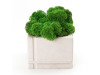 Кашпо бетонное со мхом (квадрат-циркон мох зеленый), QRONA, арт. 4500618 фото 2 — Бизнес Презент