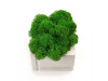 Кашпо бетонное со мхом (квадрат-циркон мох зеленый), QRONA, арт. 4500618 фото 3 — Бизнес Презент