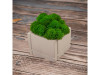 Кашпо бетонное со мхом (квадрат-циркон мох зеленый), QRONA, арт. 4500618 фото 4 — Бизнес Презент