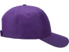 Бейсболка Poly 5-ти панельная, фиолетовый, арт. 13385338 фото 3 — Бизнес Презент