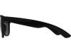 Очки в чехле Шеффилд, черный, арт. 838907 фото 3 — Бизнес Презент