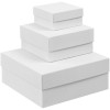 Коробка Emmet, средняя, белая, арт. 12242.60 фото 3 — Бизнес Презент