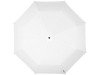 Зонт Traveler автоматический 21,5, белый, арт. 10906403 фото 2 — Бизнес Презент