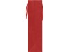 Пакет подарочный Imilit T, красный, арт. 9911101.01 фото 3 — Бизнес Презент