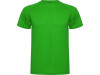 Спортивная футболка Montecarlo детская, папоротниковый, арт. 42502226.12 фото 1 — Бизнес Презент