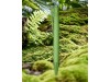 Шариковая ручка Terra из кукурузного пластика, moss green, арт. 10774364 фото 4 — Бизнес Презент
