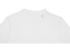 Мужская стильная футболка поло с короткими рукавами Deimos, белый, арт. 39094012XL фото 4 — Бизнес Презент