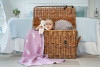 Плед детский с зайками Beastie Toys, розовый, арт. 15989.10 фото 6 — Бизнес Презент