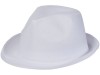 Шляпа Trilby, белый, арт. 38663010 фото 1 — Бизнес Презент