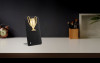 Награда Triumph Gold, арт. 6950 фото 7 — Бизнес Презент