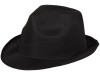 Шляпа Trilby, черный, арт. 38663990 фото 1 — Бизнес Презент