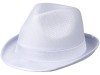 Лента для шляпы Trilby, белый, арт. 38664010 фото 2 — Бизнес Презент