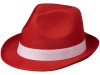 Лента для шляпы Trilby, белый, арт. 38664010 фото 3 — Бизнес Презент