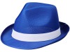 Лента для шляпы Trilby, белый, арт. 38664010 фото 5 — Бизнес Презент
