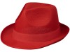 Лента для шляпы Trilby, красный, арт. 38664250 фото 3 — Бизнес Презент
